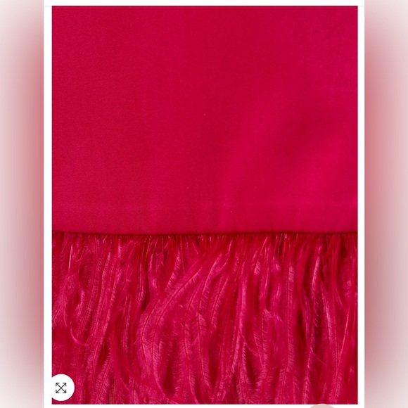 NWT - Aidan Mattox Charmeuse-Tuxedo Dress w/Fringe - Color: Bright Rose, Size 4 - Picture 6 of 7